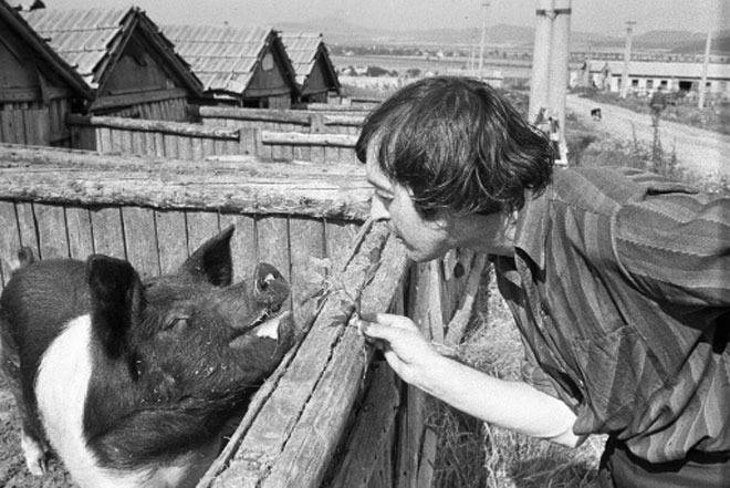 Файл:195Леонид Енгибаров.jpg