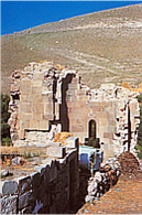C9030 1.png