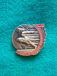 Файл:Знак Отличник физической культуры и спорта.jpg