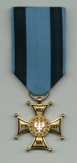 Файл:Virtuti Militari.jpg
