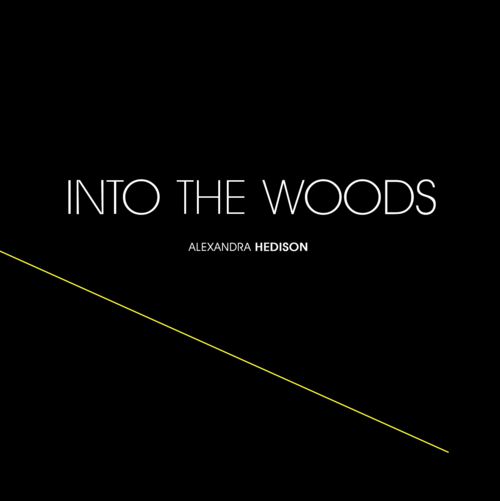 Файл:Alexandra Hedison1.png