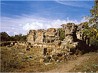 C8824 1.png