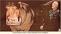Исаакян-Серебряков Степан Исаакович12.jpg