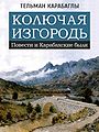 Тельман Карабаглы.jpg