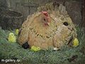 Мовсесян Борис Калустович1.jpg