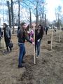 Посадка деревьев в г. Пушкино на «Аллее памяти» (24.04.2015) 2.jpg