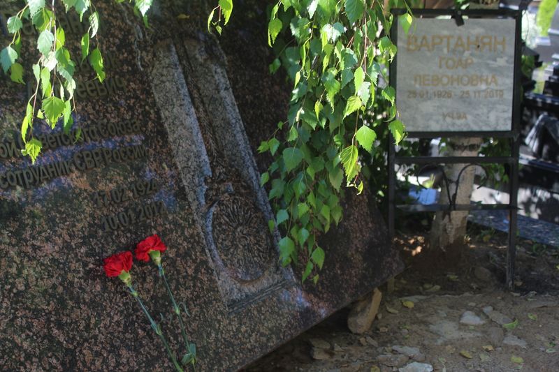 Файл:Вартанян Гоар Левоновна 9983.JPG