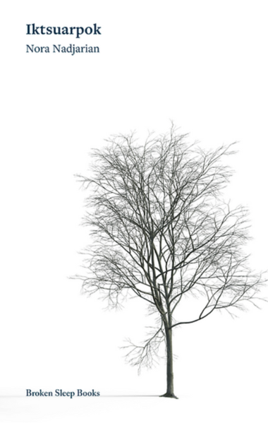 Файл:Nora Nadjarian22.png