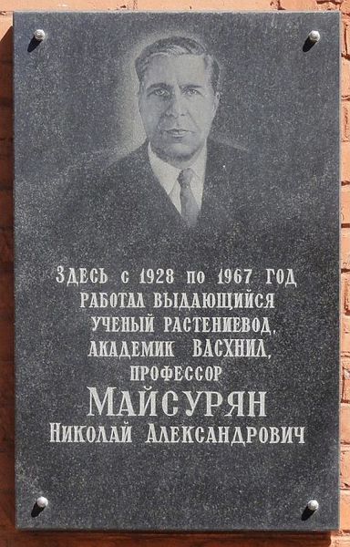 Файл:Memorialnaya doska nikolaya maysuryana.jpg