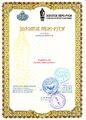 Диплом 2010 ЗПР.JPG