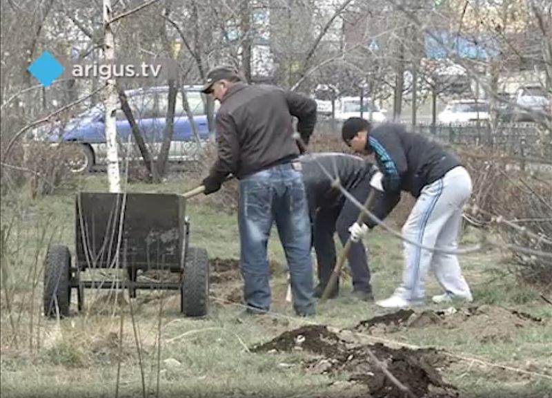 Файл:Посадка деревьев. Улан-Удэ. 2015-2.jpg