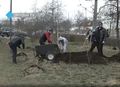 Посадка деревьев. Улан-Удэ. 2015-1.jpg