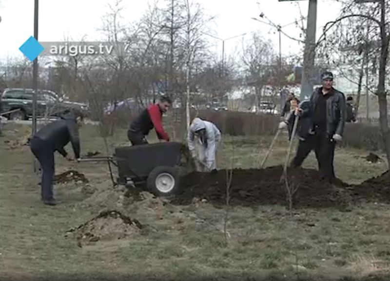 Файл:Посадка деревьев. Улан-Удэ. 2015-1.jpg