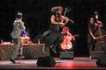 Ara Malikian10.jpg