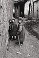 Ара Гюлер5.jpg