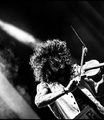 Ara Malikian8.jpg