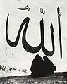 Миниатюра для версии от 15:48, 8 августа 2011