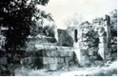 C9599 2.png