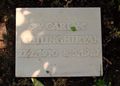 Carl Tchilling-Hiryan.jpg