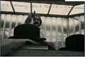 09 Aram Avakian.png