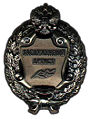 Знак «Заслуженный артист Российской Федерации».jpg