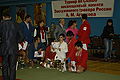 IMG 7439.JPG