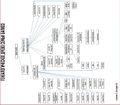 Карабет Балиоз 46.jpg